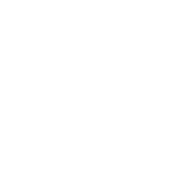 Custom Solutions